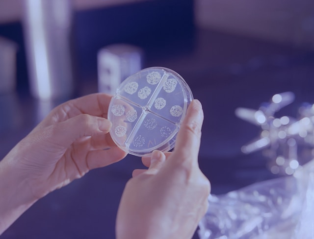 How to Ensure Supply Chain Reliability for Bulk Chemicals